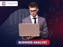 Business Analyst