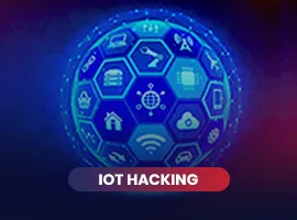 Job Oriented IOT Hacking