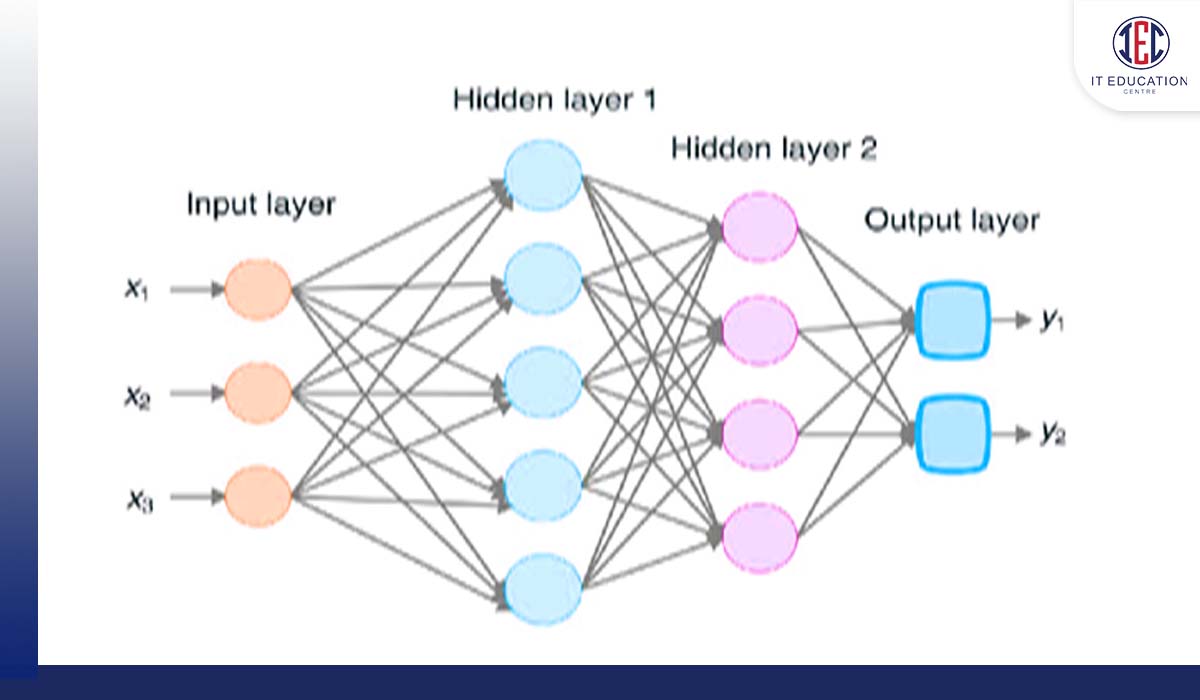 Architecture of Neural Networks